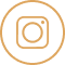 ikona