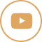 ikona