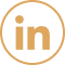 ikona