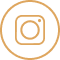 ikona
