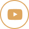 ikona